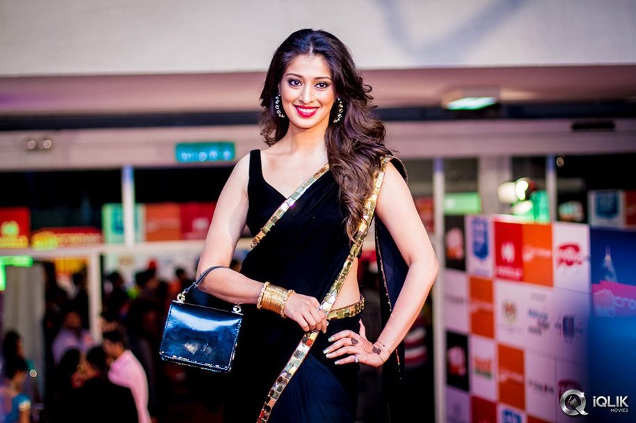 SIIMA-Awards-2014